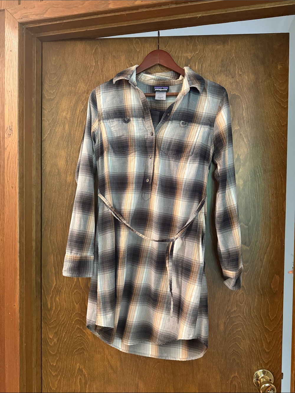 Patagonia shirt dress
